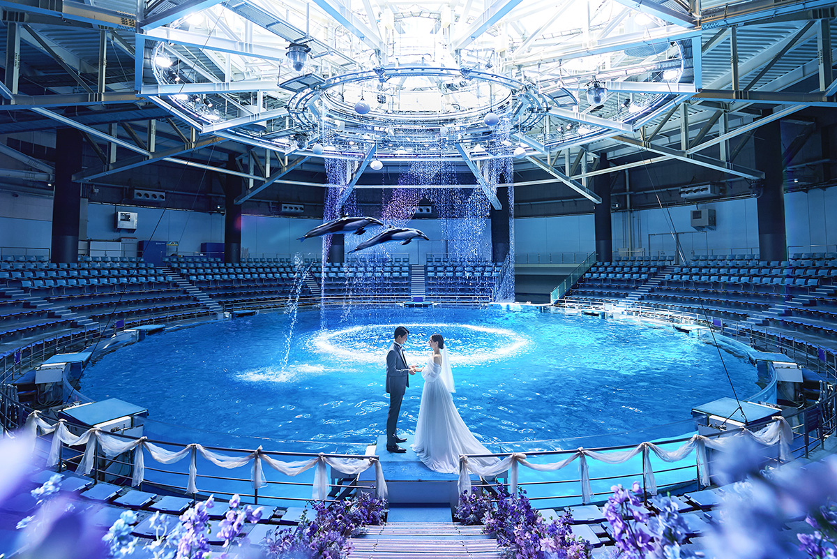 ハートフルドルフィン　ウエディング