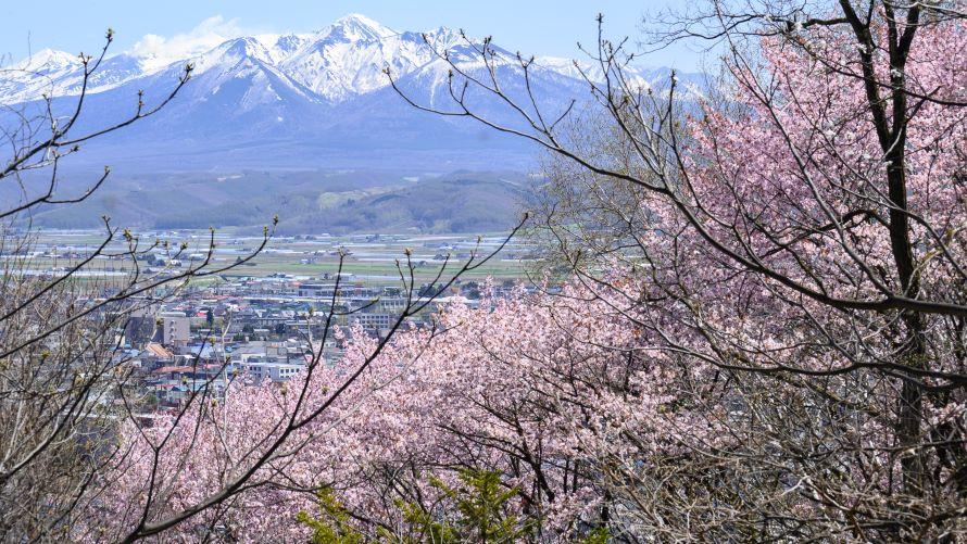 朝日ヶ丘公園