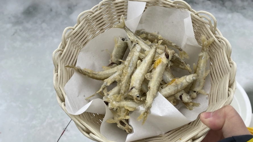 かなやま湖 氷上わかさぎ釣り(南富良野)