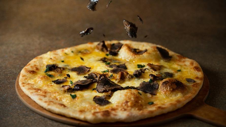 ₋ Bistro × Cheese ₋