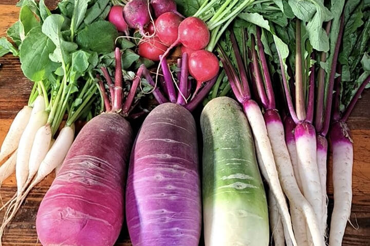 野菜名
