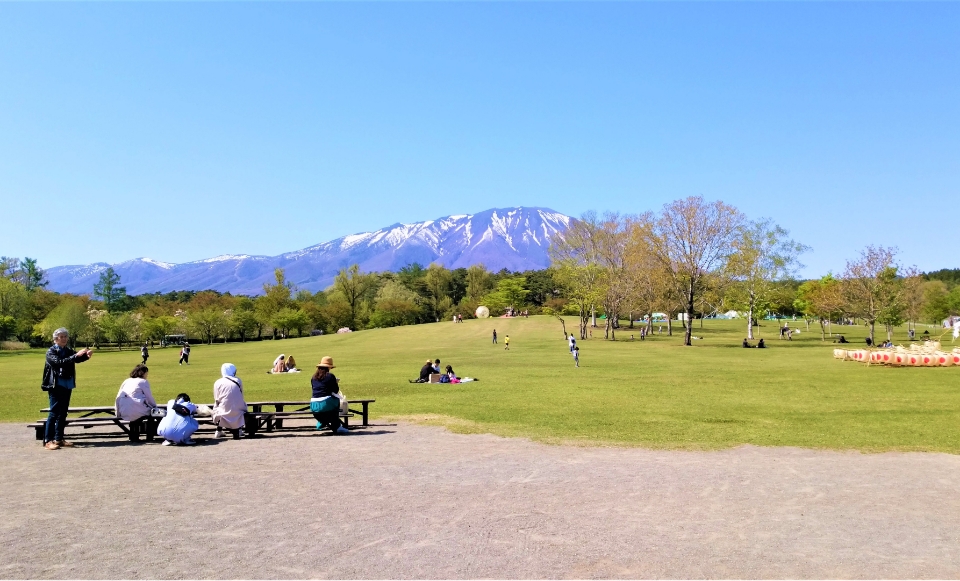 小岩井農場