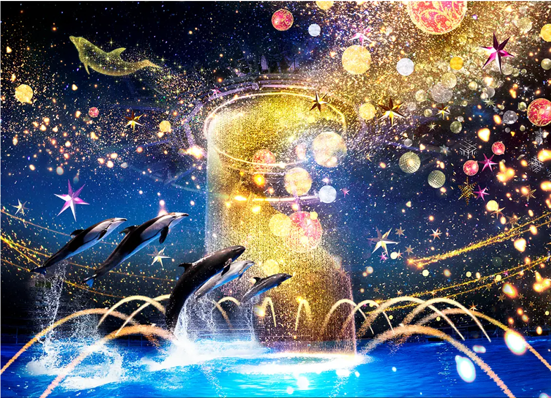 Aquarium Christmas Stay
