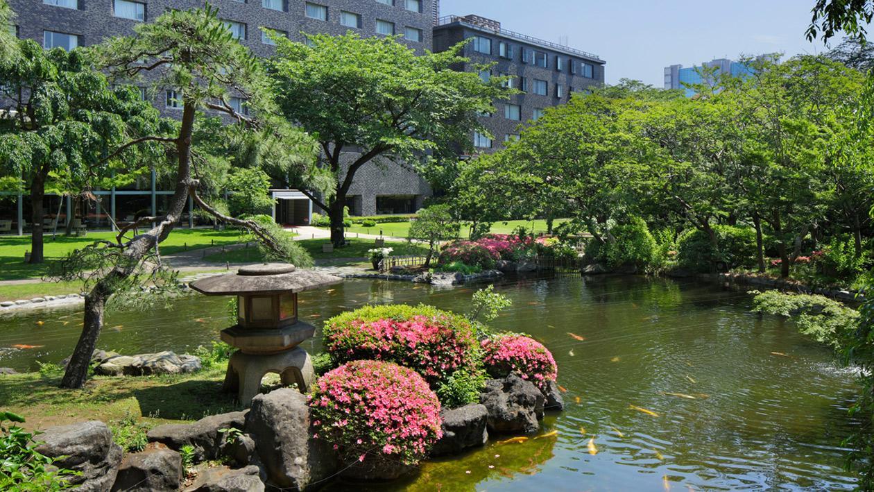 高輪 花香路の敷地内にある日本庭園の池の風景。