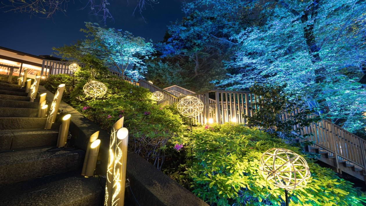 竹あかりが灯る夜の日本庭園。