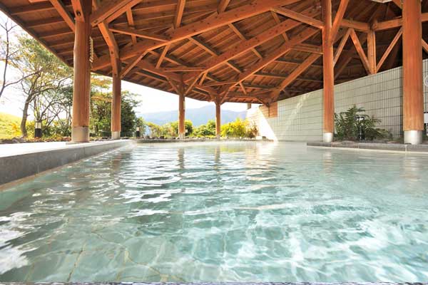 蛸川温泉 箱根湖畔の湯
