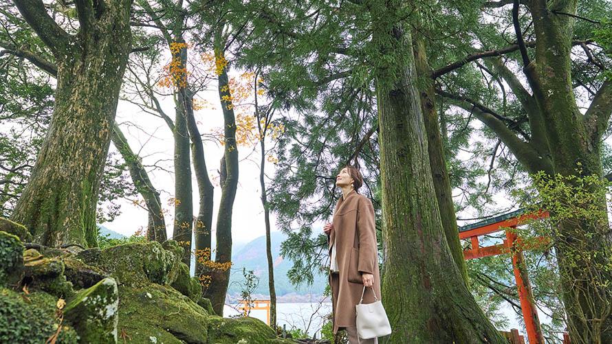 九頭龍神社の赤い鳥居と芦ノ湖を背景に、木立の中に佇み木々を見上げるひとりの女性