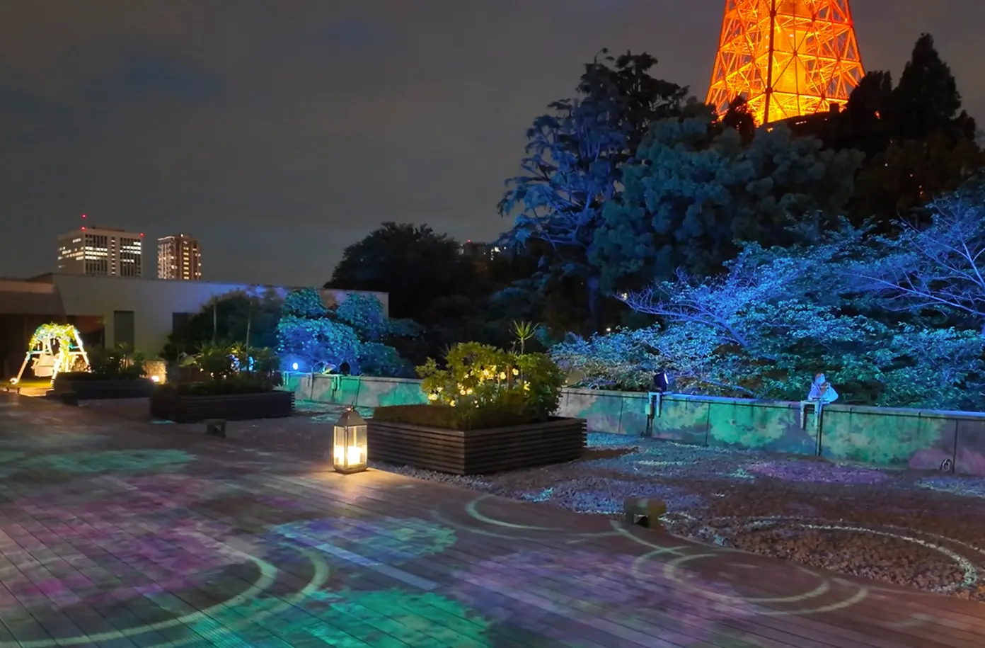 PROJECTION MAPPING