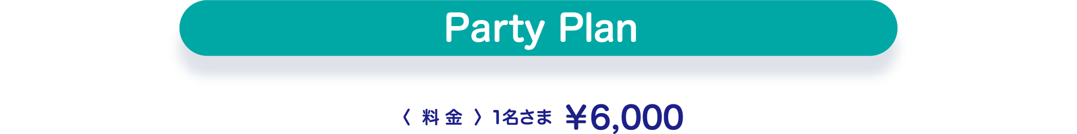 Party Plan