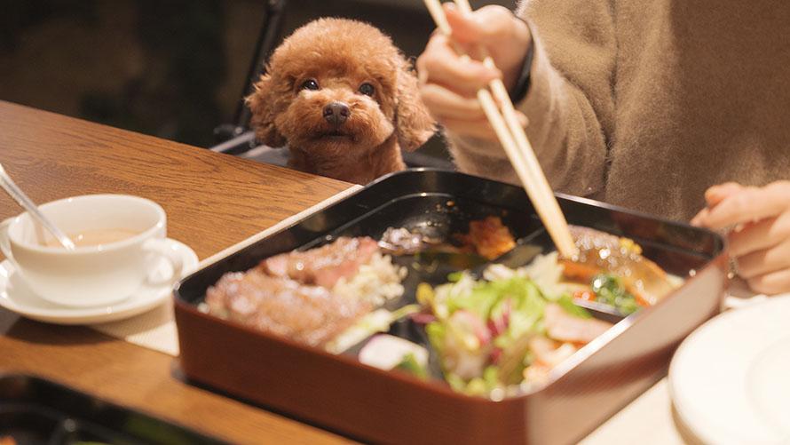 ステーキ重
