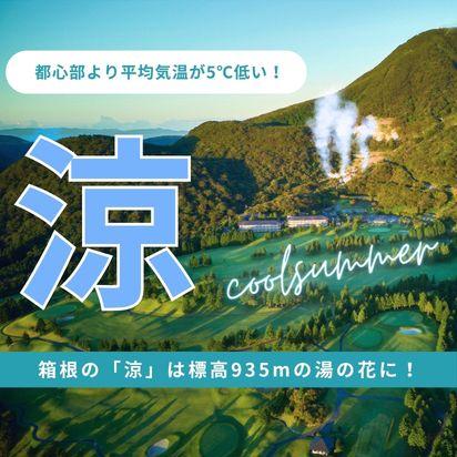 避暑旅